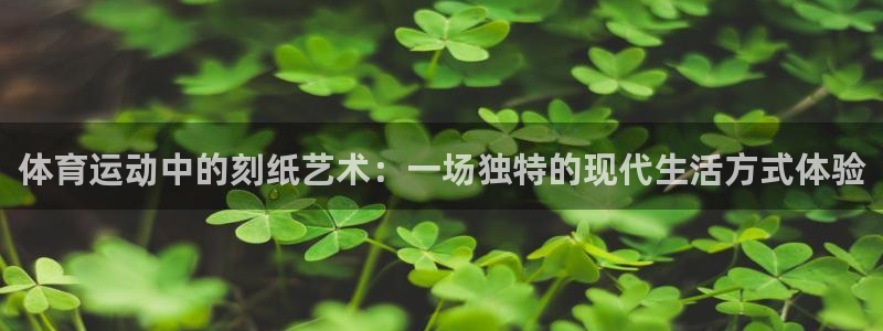 3377体育官方app下载：体育运动中的刻纸艺术：一场独特的现代生活方式体验