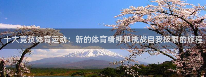 3377体育是正规平台吗：十大竞技体育运动：新的体育精神和挑战自我极限的旅程