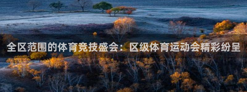 3377体育平台：全区范围的体育竞技盛会：区级体育运动会精彩纷呈