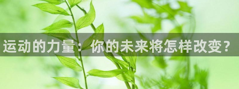 3377体育app官方下载：运动的力量：你的未来将怎样改变？