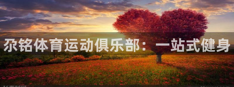 3377体育在线登录官网入口：尕铭体育运动俱乐部：一站式健身