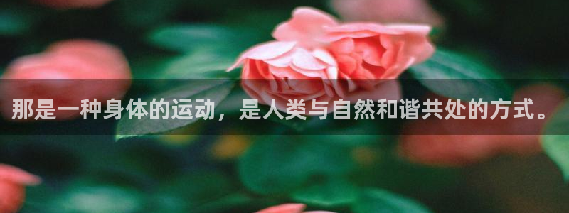 3377体育在线：那是一种身体的运动，是人类与自然和谐共处的方式。