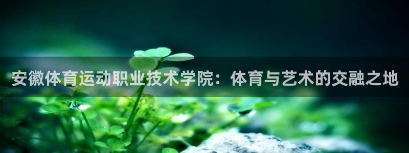 3377体育app下载安装：安徽体育运动职业技术学院：体育与艺术的交融之地