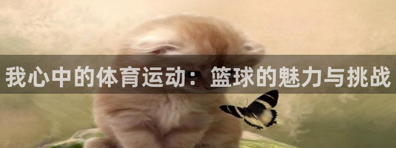 3377体育app登录入口：我心中的体育运动：篮球的魅力与挑战
