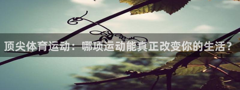 3377体育app官方下载：顶尖体育运动：哪项运动能真正改变你的生活？