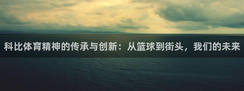3377体育在线登录官网入口：科比体育精神的传承与创新：从篮球到街头，我们的未来